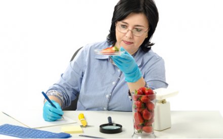 我们可以评估食物的感官和分子特性